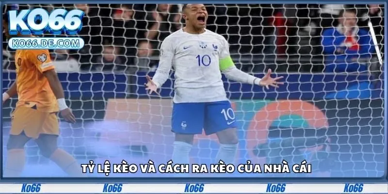 Tỷ lệ kèo và cách ra kèo của nhà cái