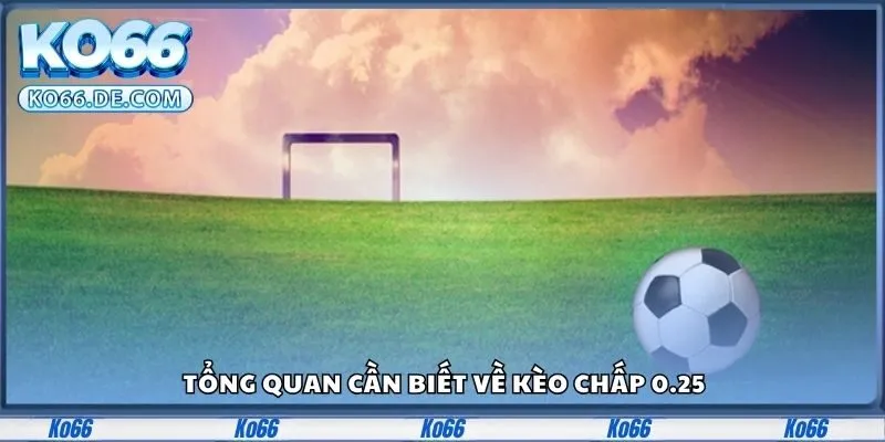 Tổng quan cần biết về kèo chấp 0.25